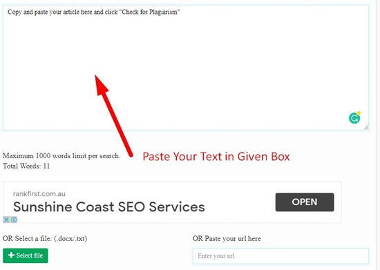 plagiarism checker online seo