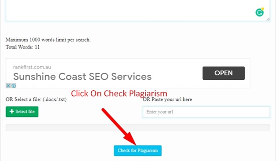 seo tools plagiarism check