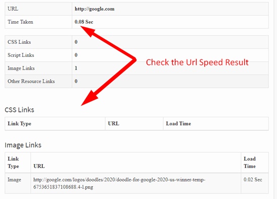 How to Use Page Speed Checker Step 3