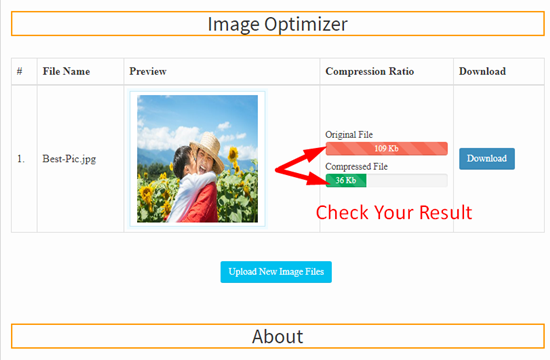 How use to Image Optimizer Tool step 4