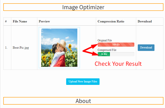 online image optimizer free