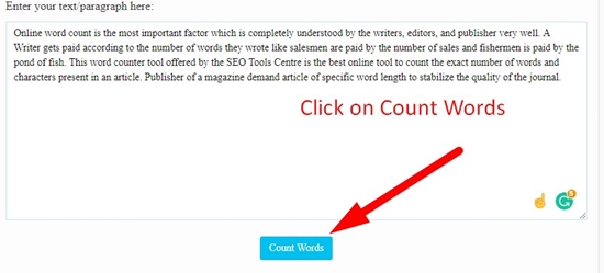 How to use Word Counter Tool tool step 2