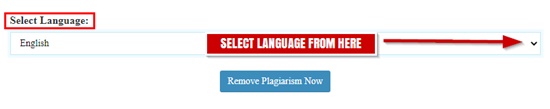 How to remove plagiarism online step 4