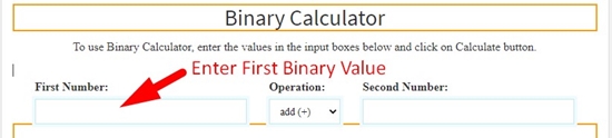 how to use binary calculator online step 2