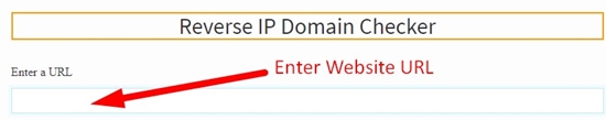 How to use reverse ip domain checker step 2
