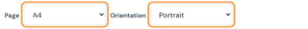 Page size A4 and orientation Portrait options