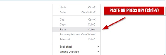 Right-click menu with Paste highlighted, for pasting text into the input box (shortcut Ctrl+V)