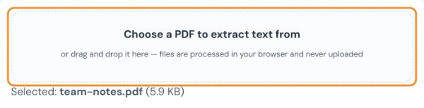 PDF to TXT converter with the file team-notes.pdf selected in the upload box