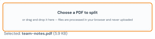 PDF splitter with the file team-notes.pdf selected in the upload box